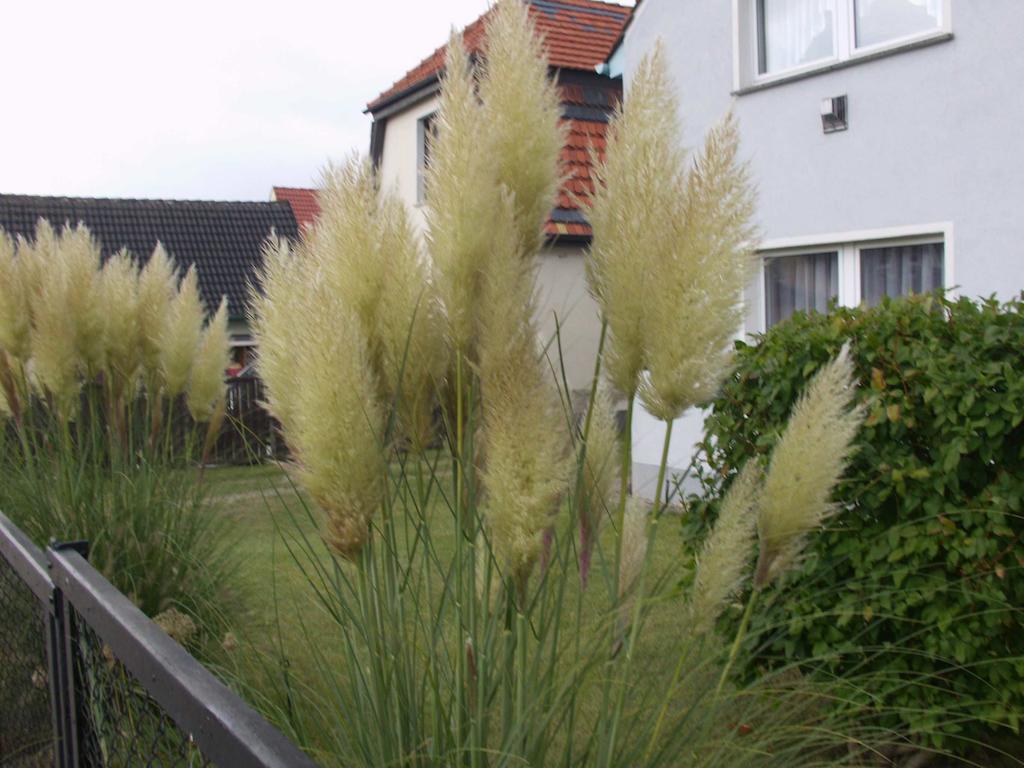 Villa Haus Frieda Koserow Zimmer foto